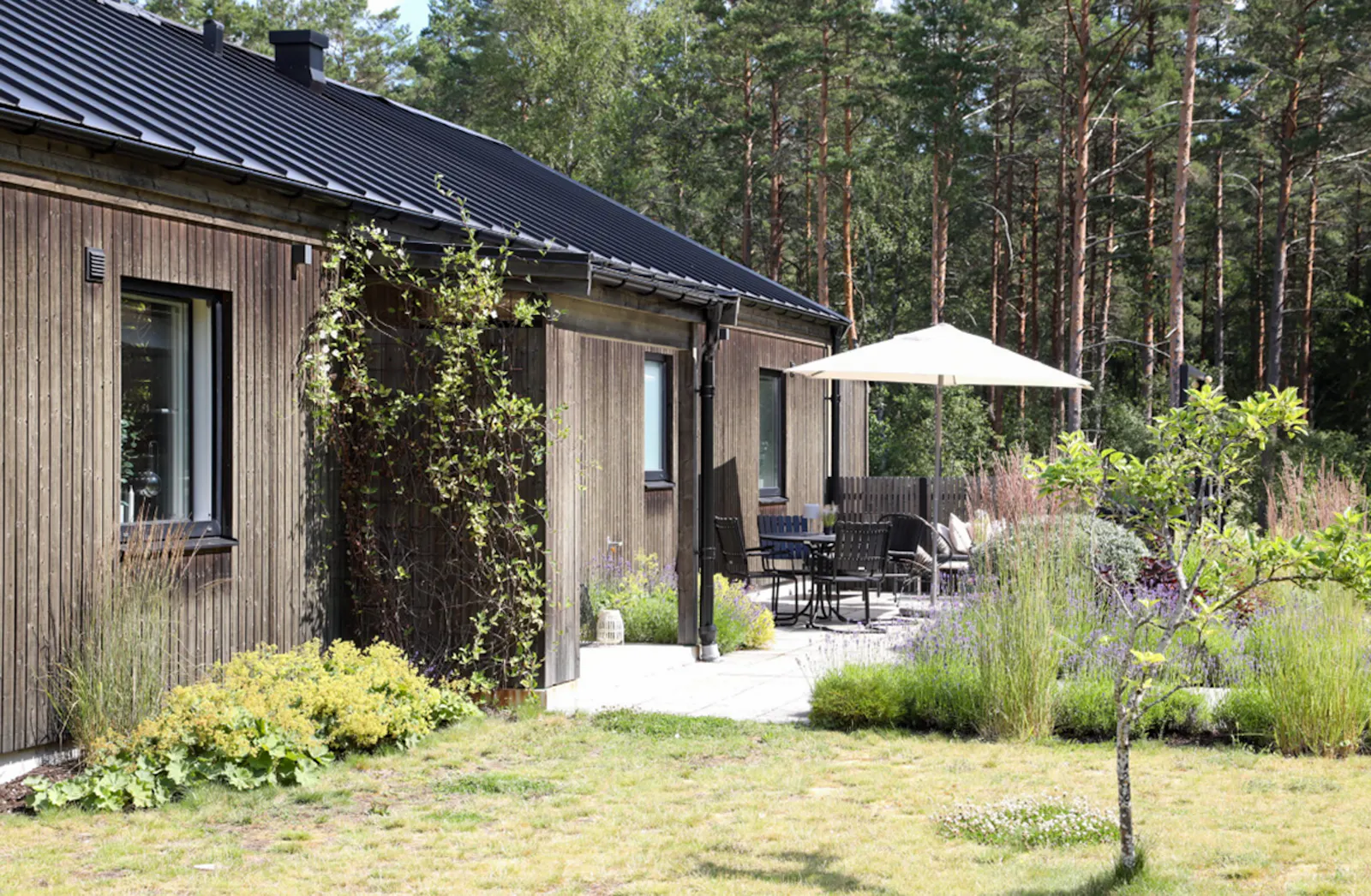 Sjöstuga med solnedgångar över Försjön – bild 2 av 24