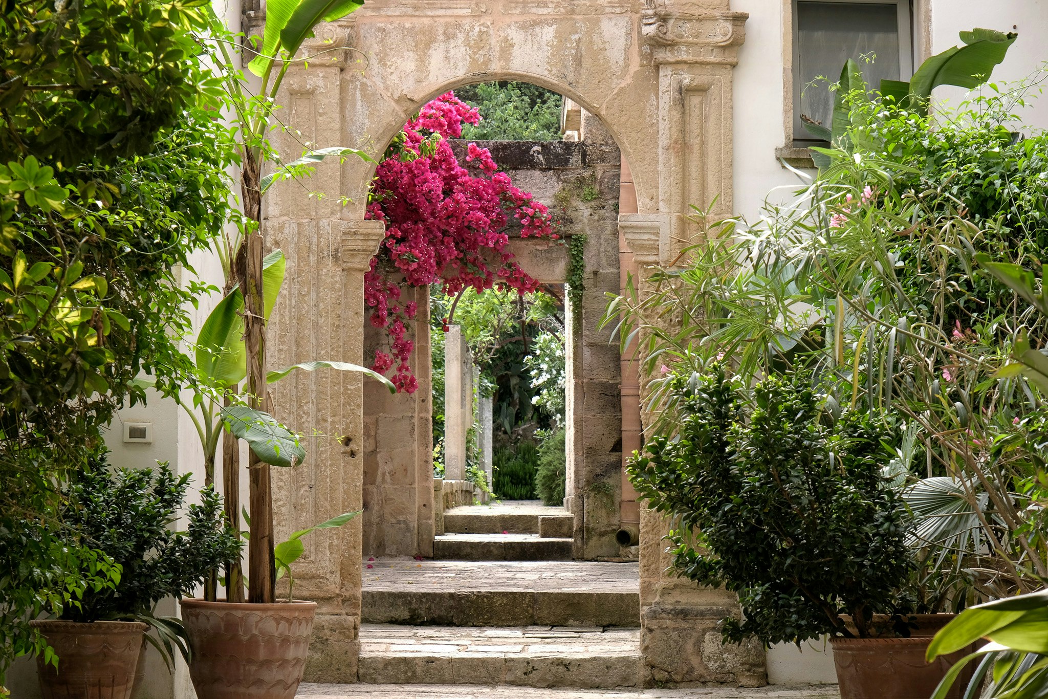 Muro Leccese cover image