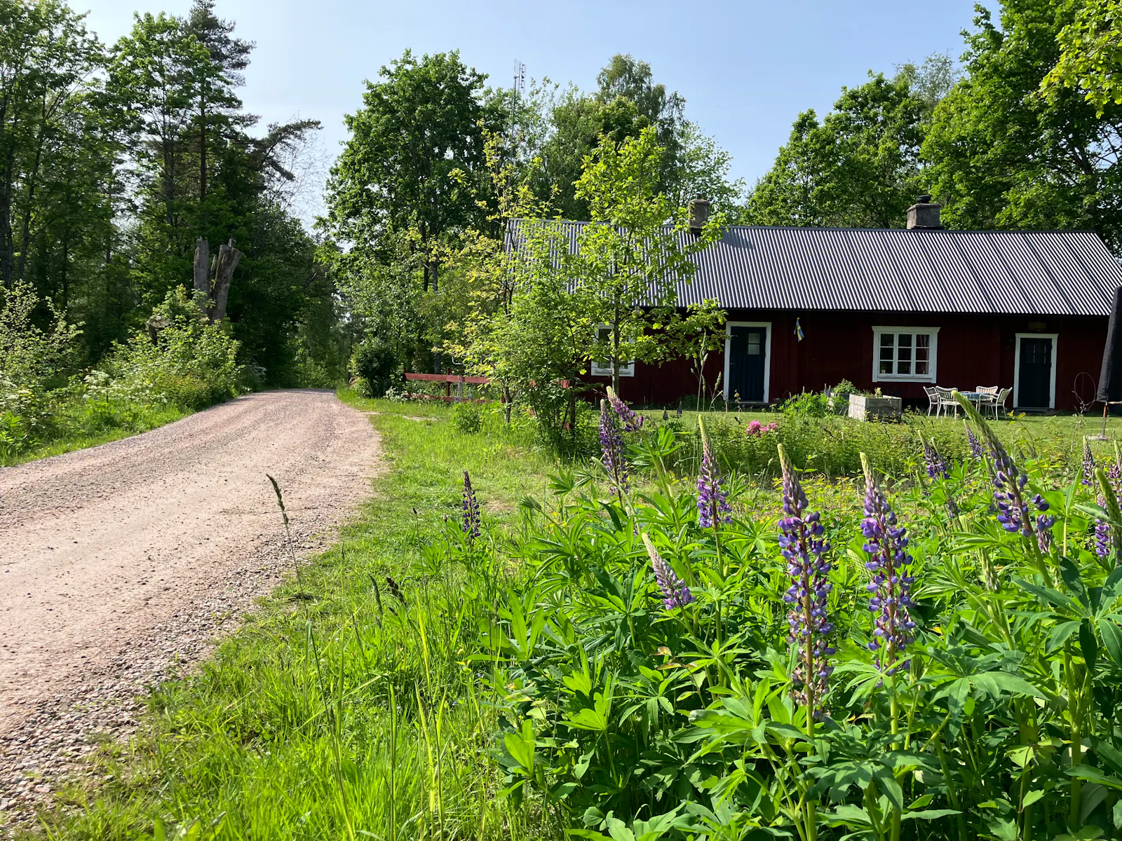 Traditionellt svenskt hus i skogens djup – bild 16 av 24