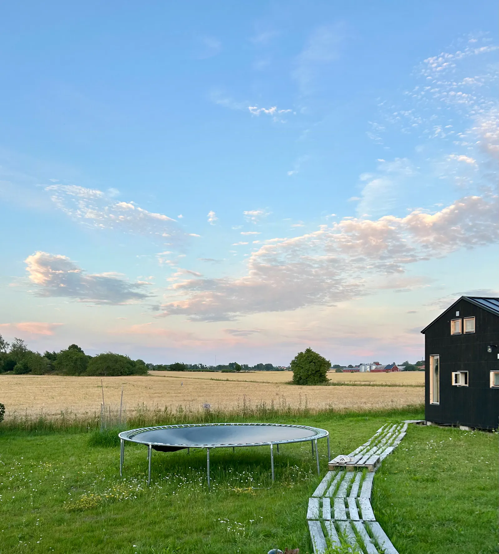 Litet hus bland äppelträd nära Vättern – bild 2 av 19