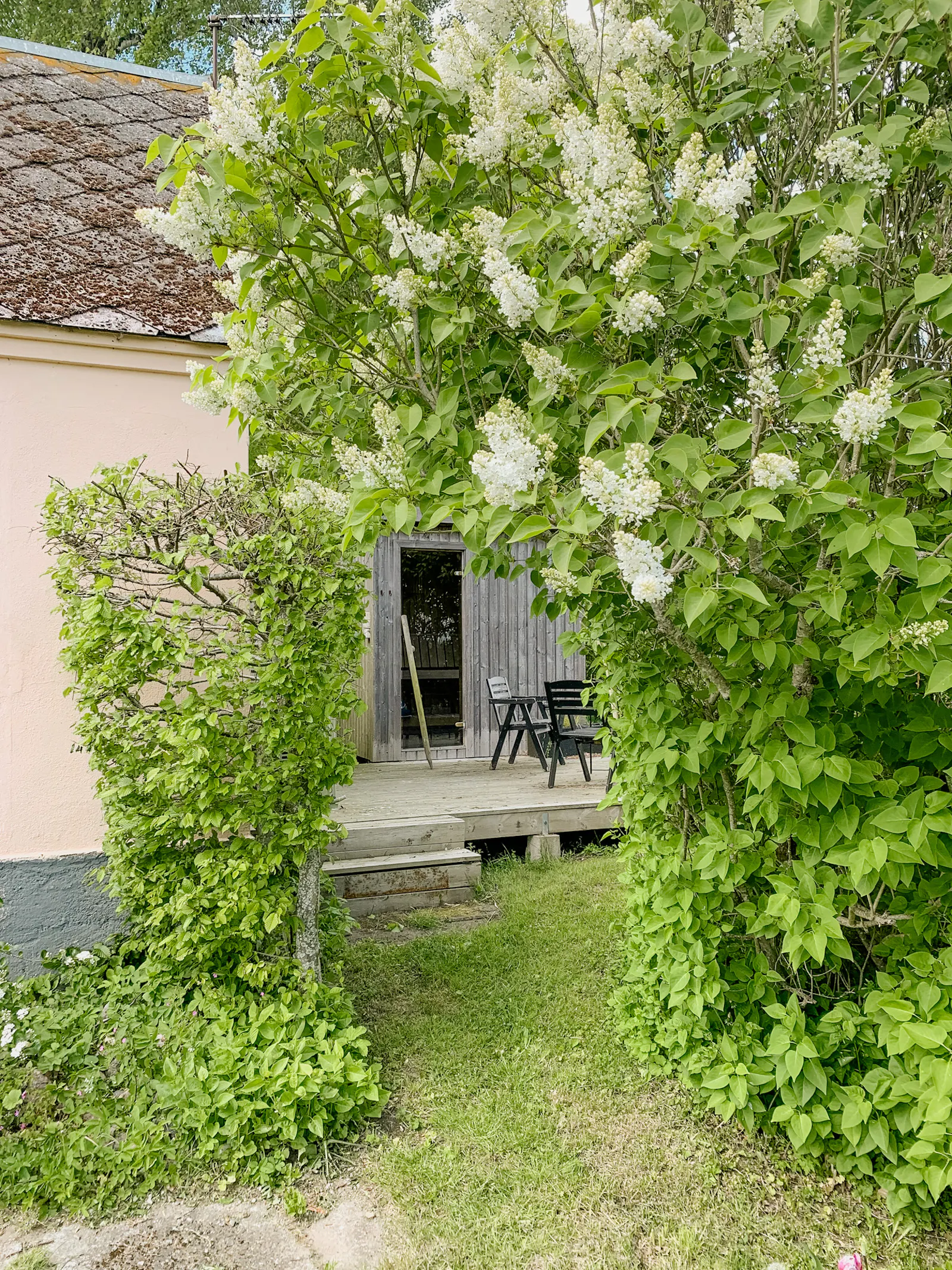 Gästhus med havsutsikt i Österlen – bild 11 av 12
