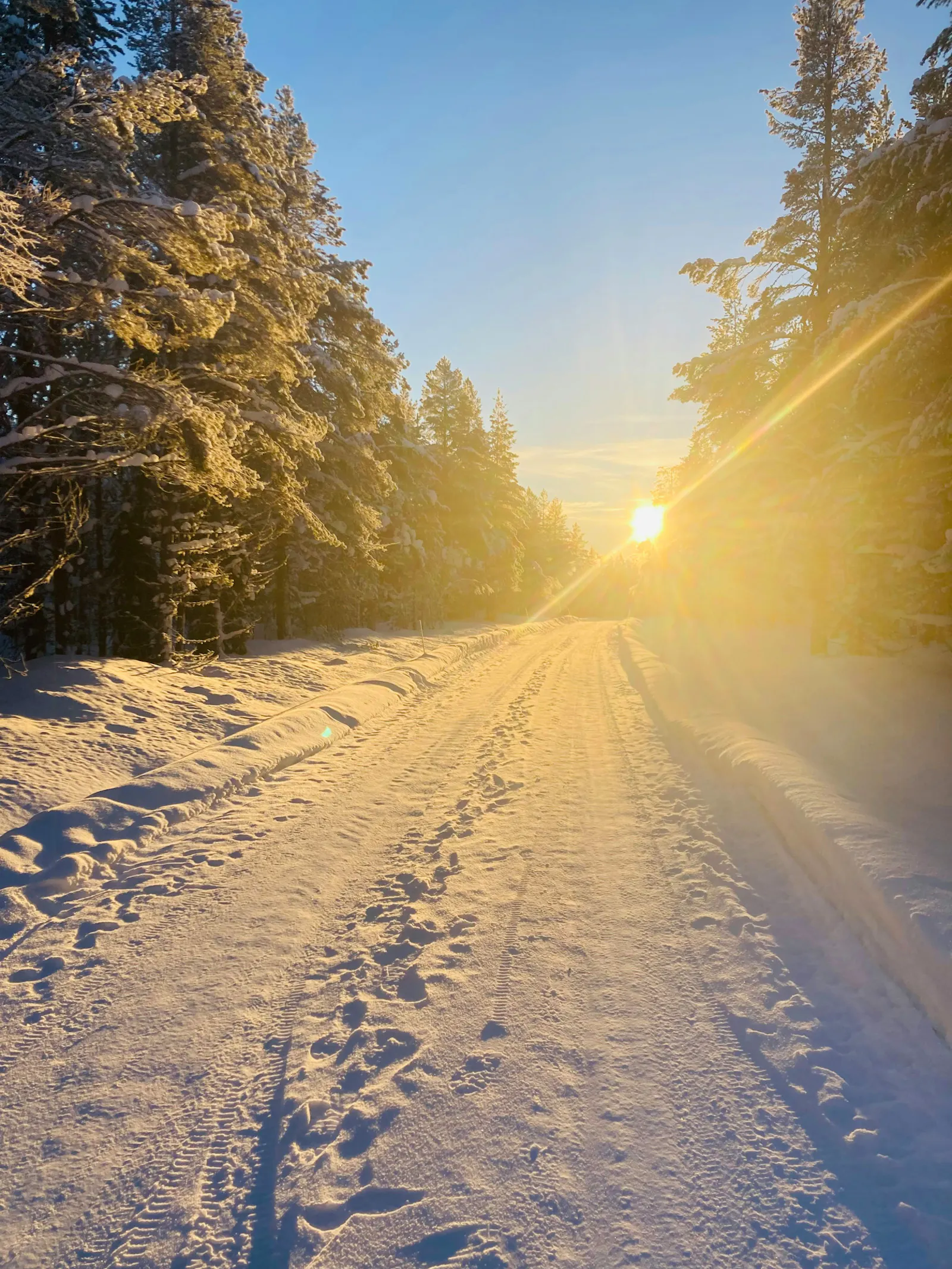 Rymlig fjällstuga bland fjällbjörkar i Vemdalen – bild 24 av 24