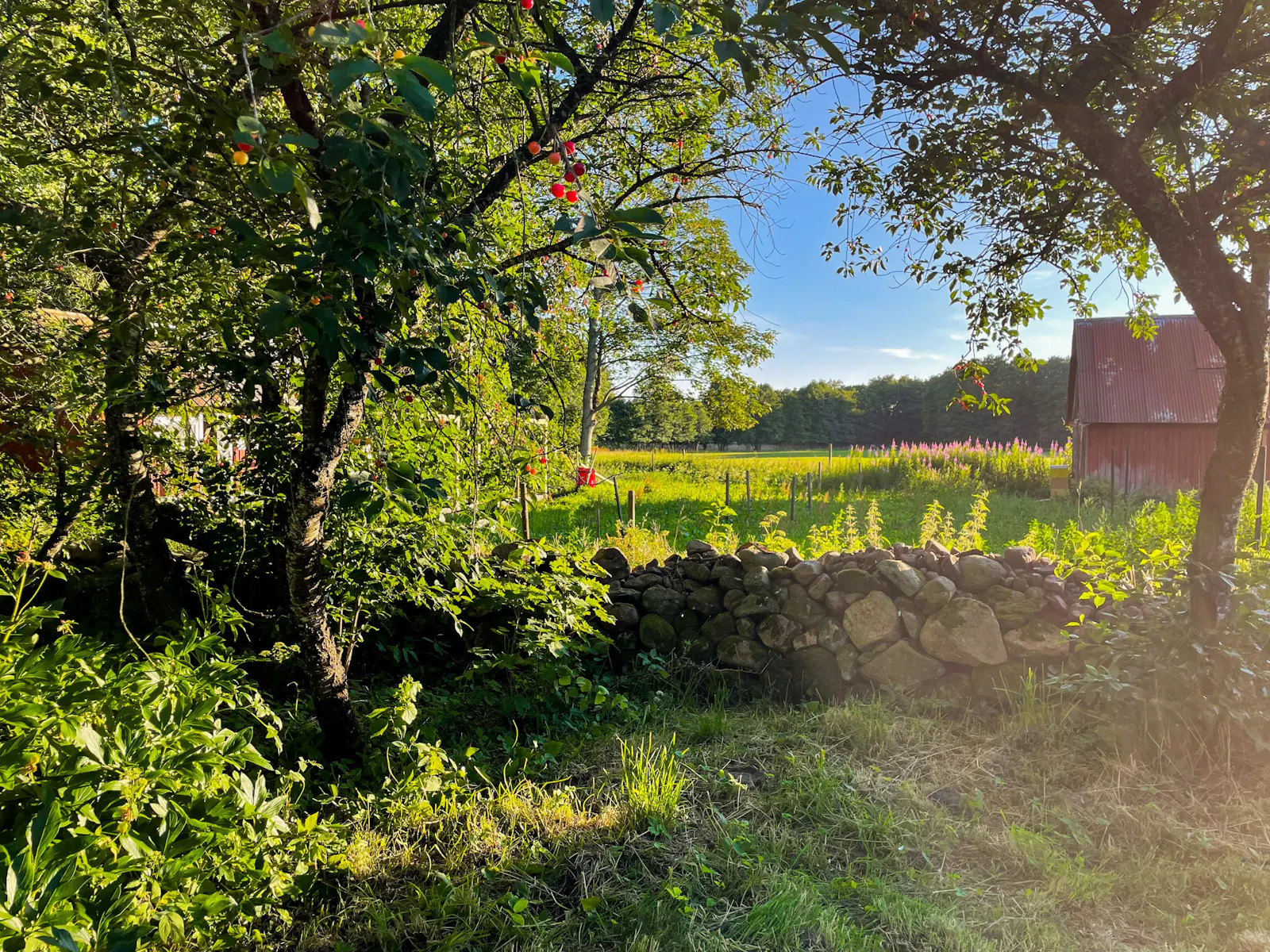 Gårdshus nära havet – bild 18 av 22