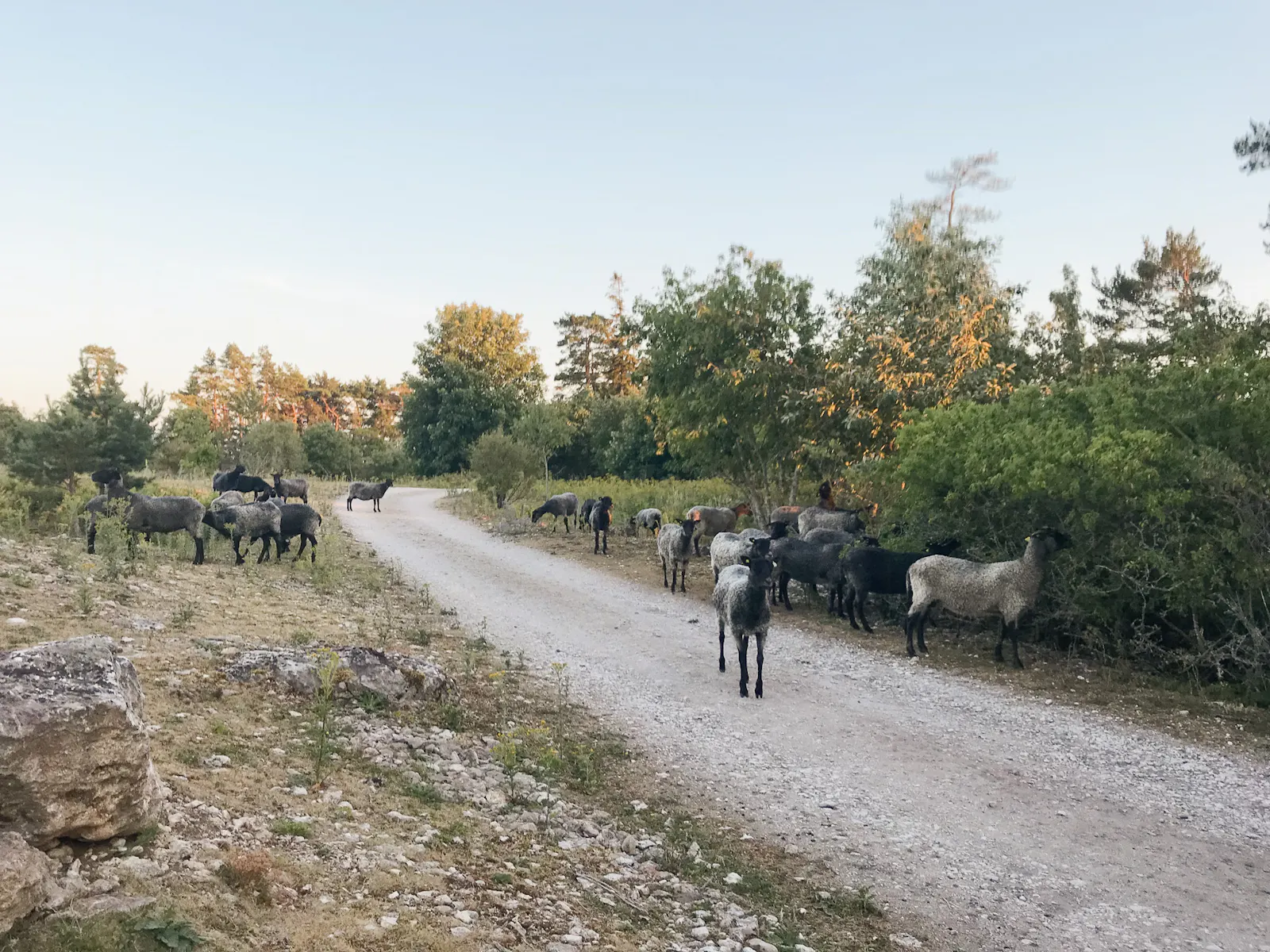 Arkitektritat hus på klippkanten vid Bungenäs – bild 20 av 21