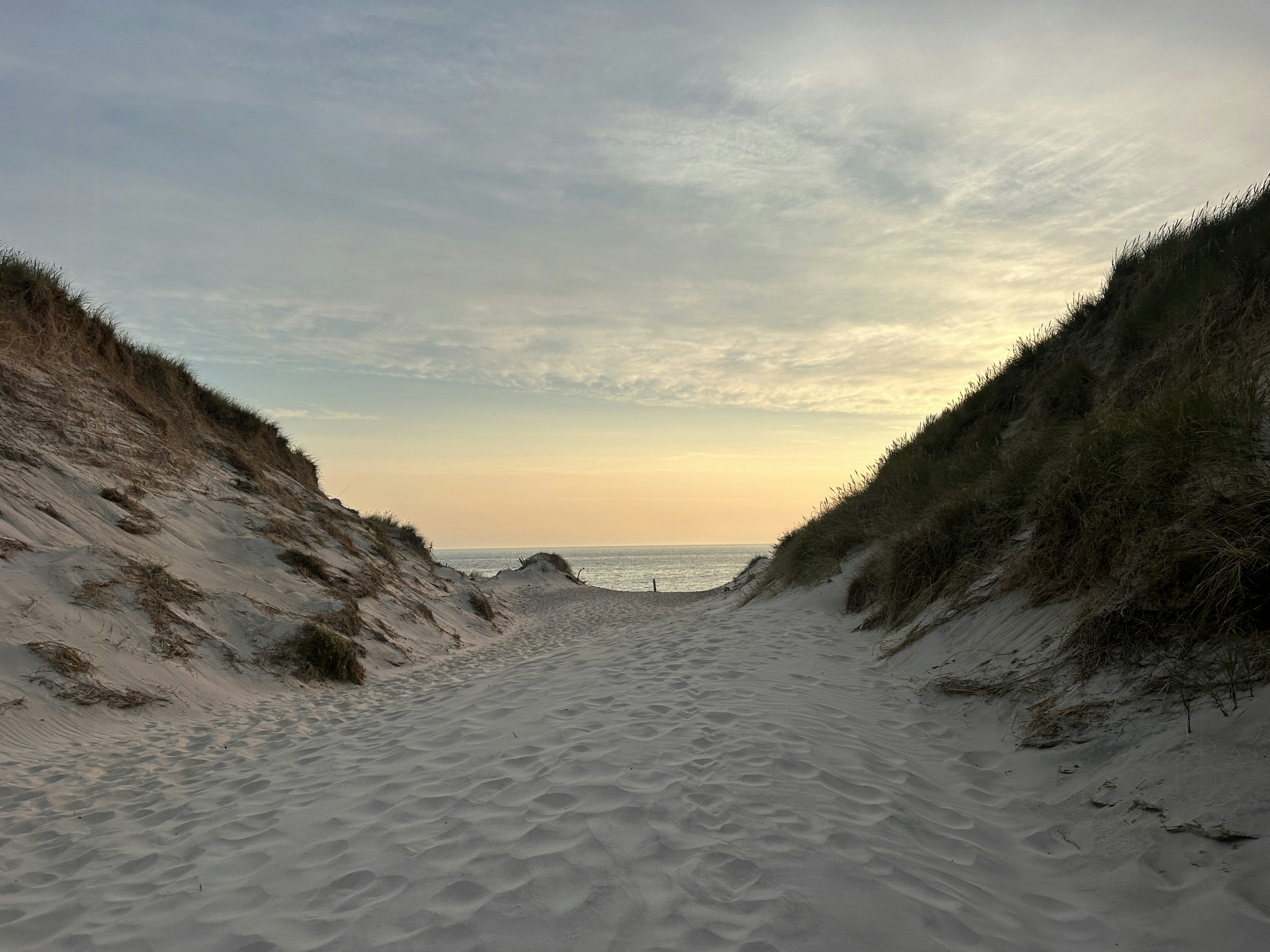 Travel, taste, experience: Opplev Danmarks vestkyst