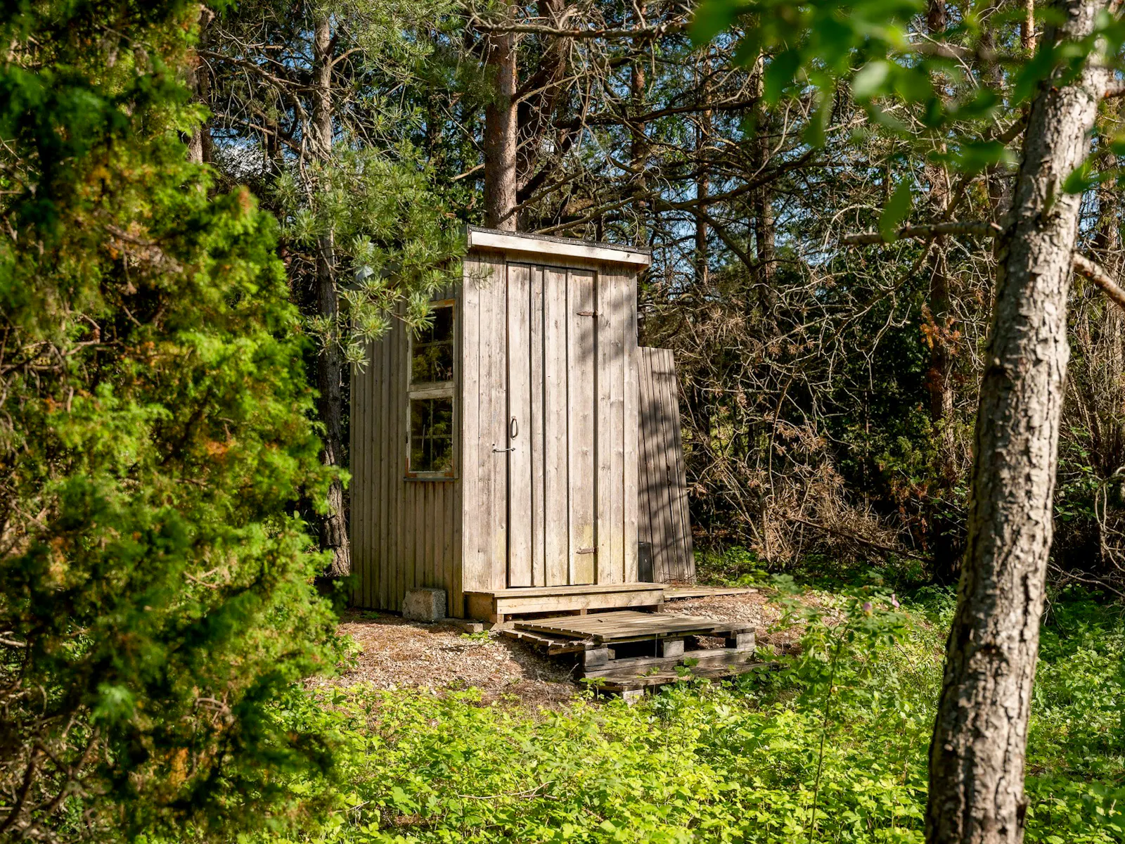 Stuga nära hav och raukfält på Gotland – bild 19 av 24