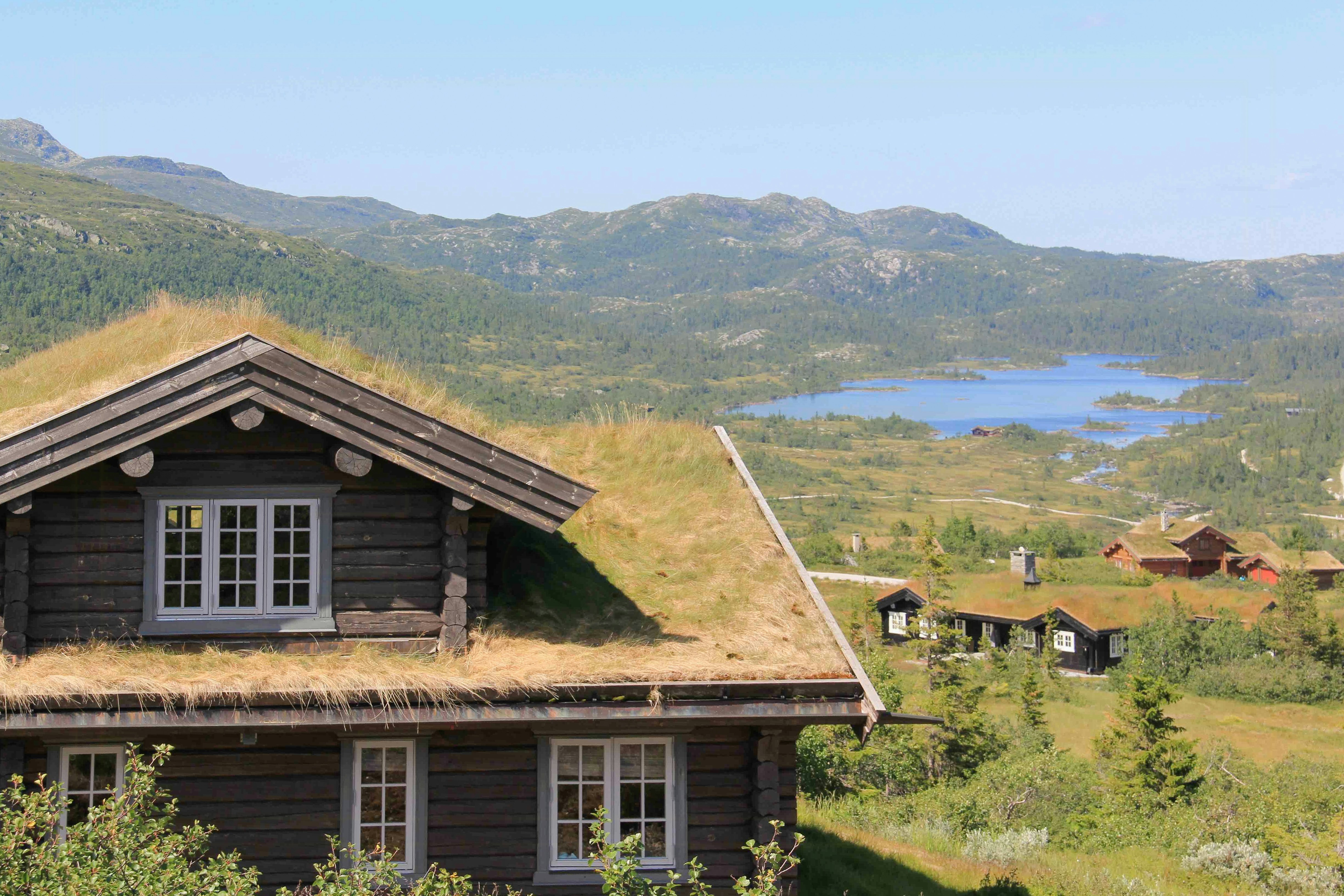 Høgevarde cover image