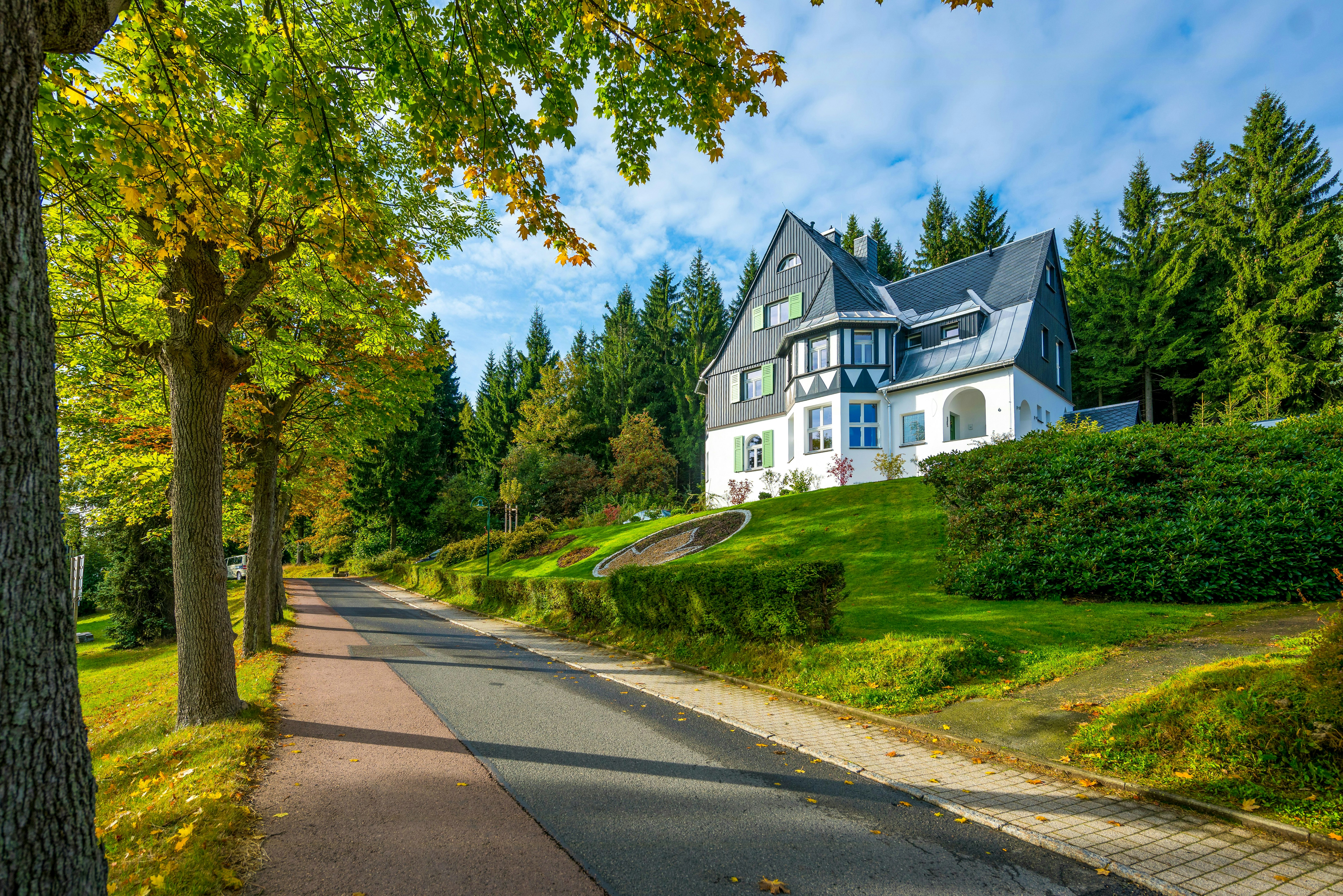 Altenberg cover image