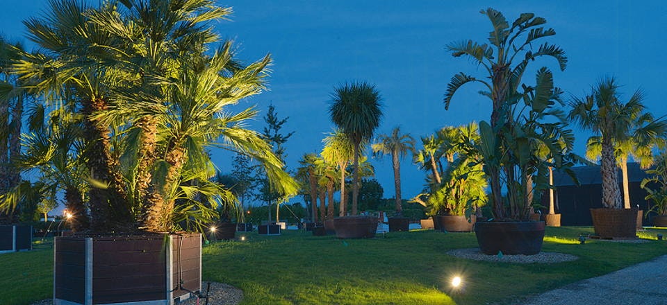 Guide til Pistoia – Hvad skal man se i Pistoia?