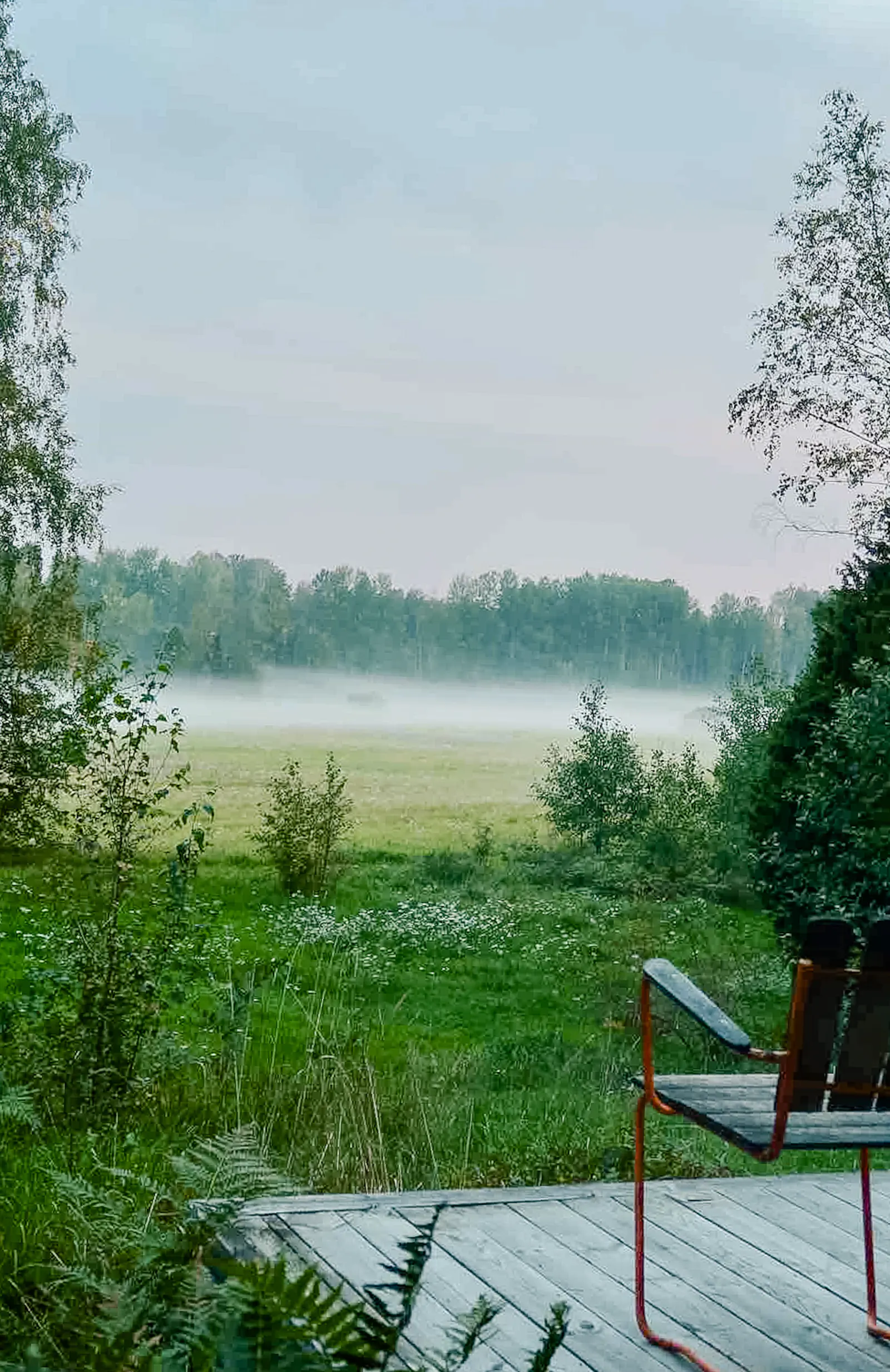 Arkitektritad stuga från 60-talet mitt i skogen – bild 4 av 24