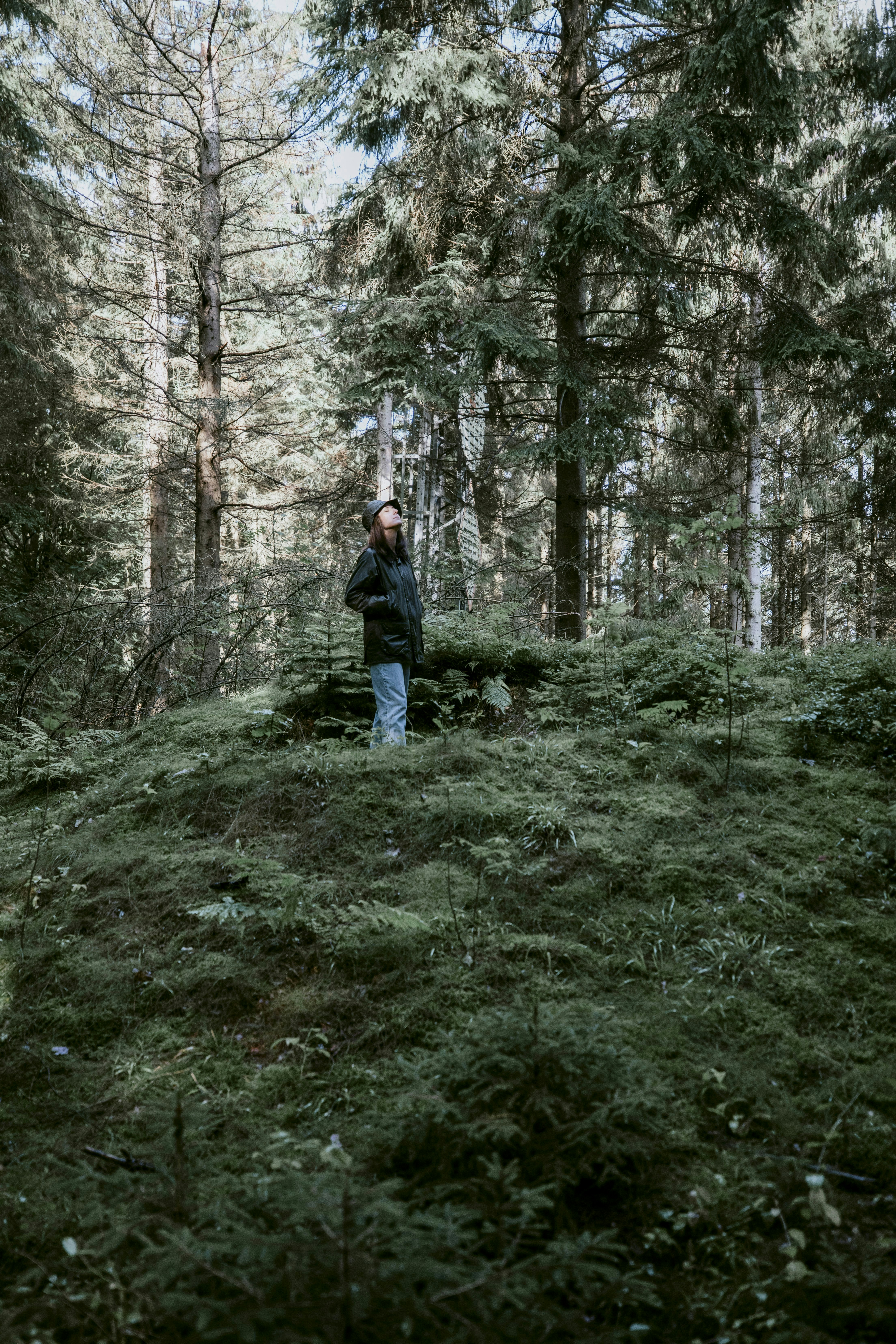Udstyrsguide: 5 anbefalinger til dig, der gerne vil mere ud i naturen cover image