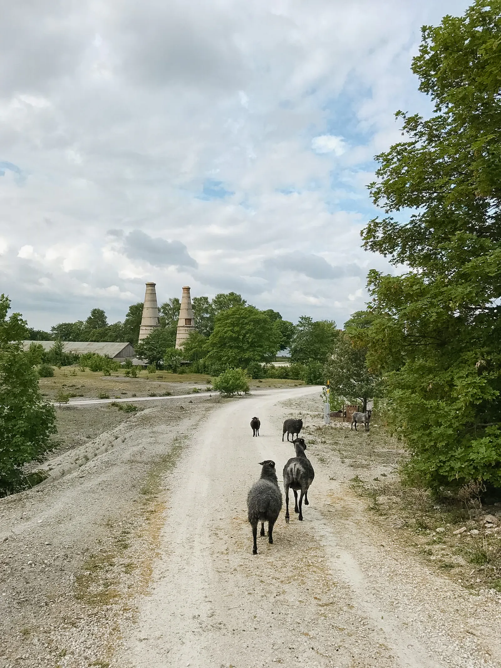 Arkitektritat hus på klippkanten vid Bungenäs – bild 19 av 21